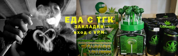 гашик Новозыбков
