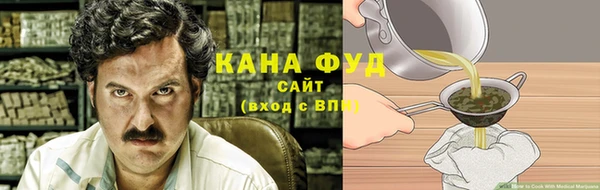 гашик Новозыбков