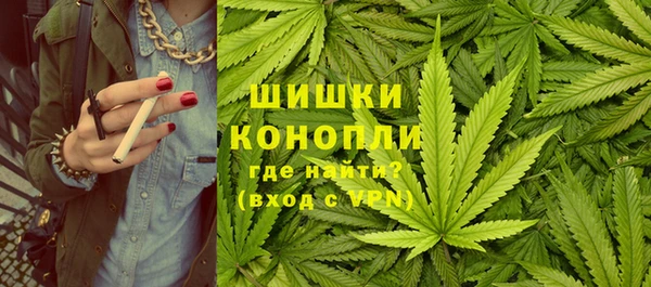 сатива Новокубанск
