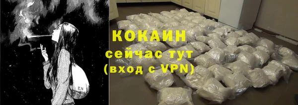 гашик Новозыбков