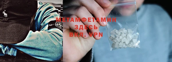 сатива Новокубанск