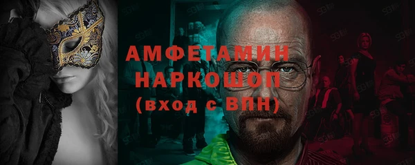 гашик Новозыбков