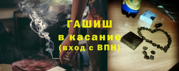 сатива Новокубанск