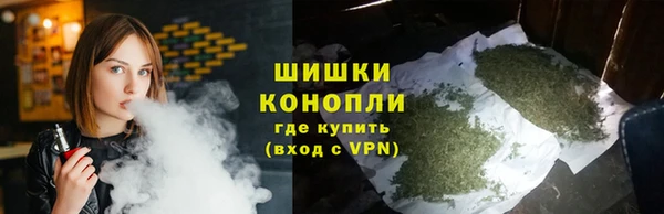 гашик Новозыбков