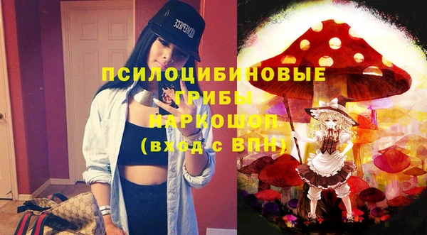 гашик Новозыбков