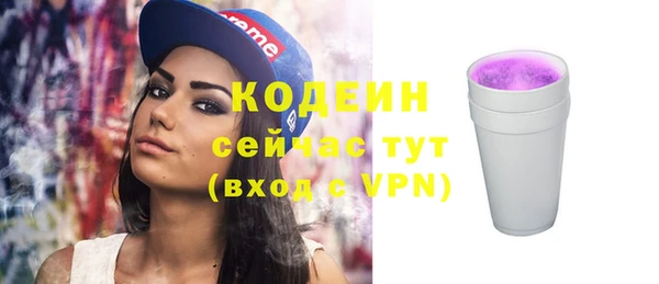 гашик Новозыбков
