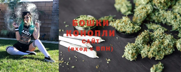 гашик Новозыбков