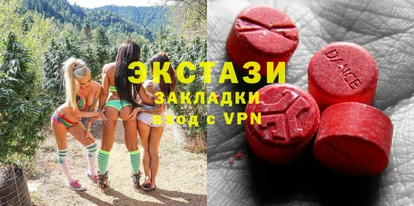 гашик Новозыбков