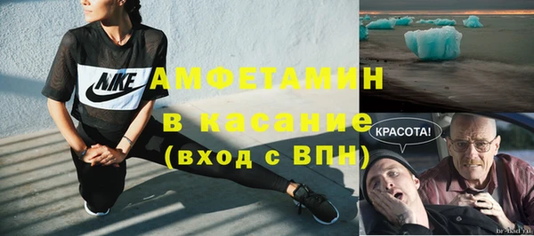 сатива Новокубанск