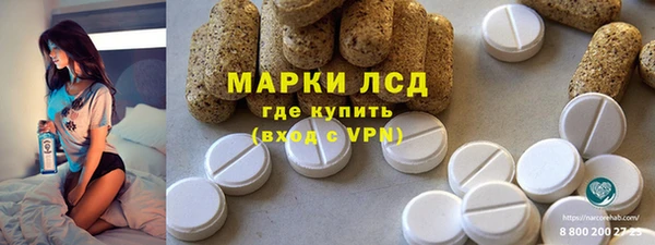 сатива Новокубанск