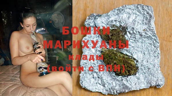 сатива Новокубанск