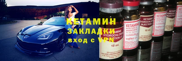 сатива Новокубанск