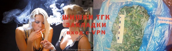 сатива Новокубанск