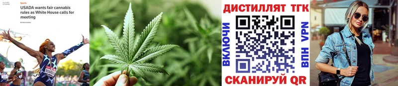 дарнет шоп  Кемь  ТГК жижа 